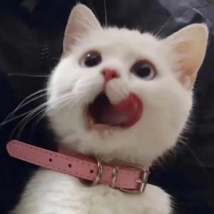 外国舔老女人阴道
